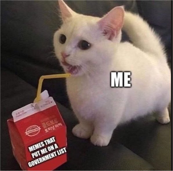 me caturday majorgeeks.jpg